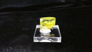 Tourmaline Crystal Specimens From Himalaya Mine California,  Terminated 12.  80ct,