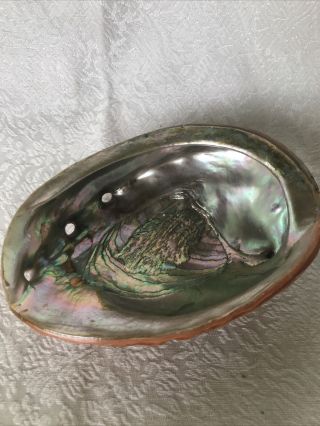 Large 8 " X 6 " Abalone Shell Trinket Dish Smudge Bowl Mother Of Pearl