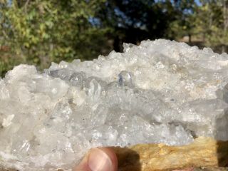 Reilly’s Rocks: Arkansas Quartz Cluster,  6 Lb.  Display