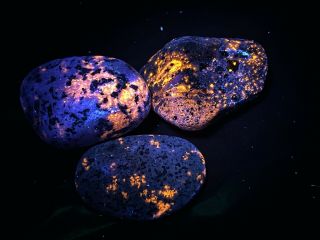 3x Sodalite Yooperlite Rock Uv Fluorescent Pebble Crystal Mineral Usa Ddl595