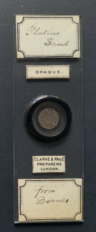 Clarke & Page Antique Microscope Slide.  Platino Sand From Borneo