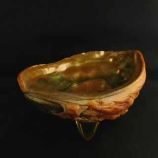 Vintage Abalone Shell Trinket Dish Bowl Footed Wondermold Made In Usa 8 " X 7 "