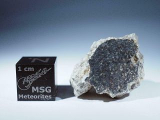 Hed Eucrite Meteorite From Vesta 7.  5g Fragment With Fusion Crust Nwa 13343