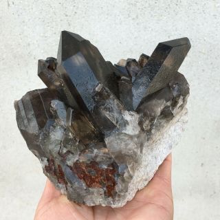 820g Rare Rare And Mineral Specimen Of Black Quartz Crystal Clusdb3164