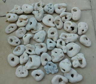 40 Medium Beach Natural Pebbles Stone Rock @ Holes From Israel For User Mar