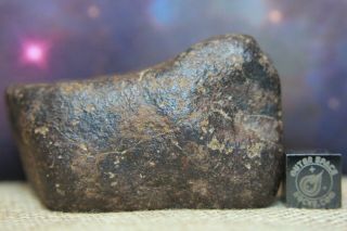 Nwa Unclassified Meteorite 117.  4 Gram Desert Polished Windowed Individual