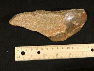 A Polished Dinosaur Gem Bone Fossil From Utah 193gr