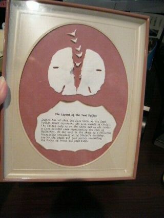 Vintage Shadow Box Of The Legend Of The Sand Dollar Lovely Item Florida