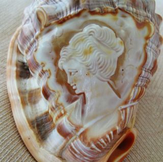 Lovely Vintage Hand Carved Sea Shell Cameo Side Facing Woman