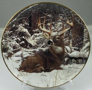 The Danbury Winter Stag Art By Bob Travers Limited Edition Plate 1992 H7206