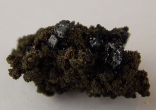 Acanthite Crystals With Pyrite - 2 Cm - San Juan De Rayas Mine,  Mexico 25301