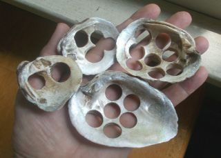 1860s Dug Group Of 4 Mississippi River Button Clam Shells For Making Buttons