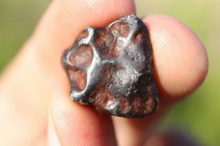 Canyon Diablo Meteorite Individual 8.  6 Grams