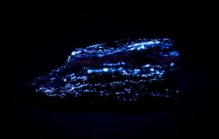 Fluorescent Scheelite & Powellite Uv Sw Mittersill Austria