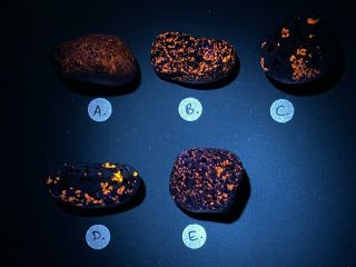 1x Sodalite Yooperlite Rock Uv Fluorescent Pebble Crystal Mineral Uv Usa A491