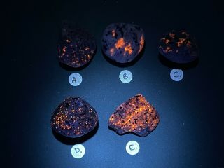 1x Sodalite Yooperlite Rock Uv Fluorescent Pebble Crystal Mineral Uv Usa A401