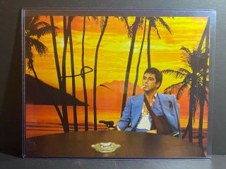 Signed 8x10.  5 Photo Of Al Pacino - " Scarface  The Godfather " - Autographed