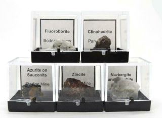 Of 5 Assorted Franklin Mining District Mineral Specimens