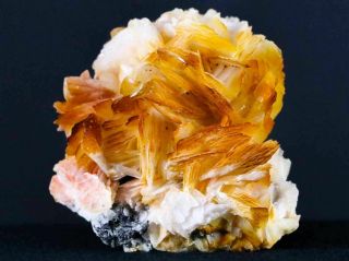 Orange Barite Blades,  Galena Crystal Mineral Specimen Mabladen Morocco 2.  8 Oz