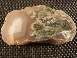 Rimrock: 1.  30 Lbs Polished Crooked River Agate Limb Cast Rough