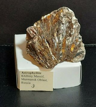 Russian Rare Rock,  Meterites And Gems Huge 2.  5 " Astrophyllite 8 Oz