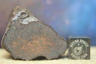 Nwa Unclassified Meteorite 31.  8 Grams Highly Desert Polished With Chondrules
