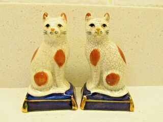 Vintage 1984 Rare Staffordshire Fitz And Floyd Cat S&p Shakers 3.  5 "