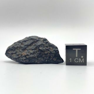 5.  730g Nwa 4502 W/coa - Cv3 Carbonaceous Chondrite Meteorite Found In Africa