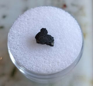 (cm2) Meteorite Nwa 13643 (paired) Fusion Crusted Carbonaceous Chrondrite 0.  25g