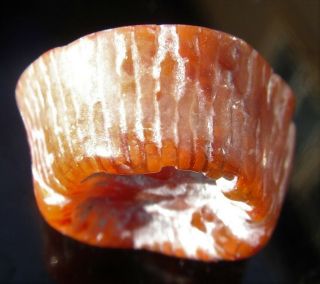 Polished Fossilized Agatized Red Horn Coral Specimen From Utah Rhc12
