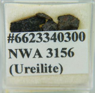 Nwa 3156 Meteorite.  52 Grams Fragments Urelite Found 2004 Tkw 138 Grams