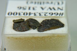 NWA 3156 Meteorite.  52 grams Fragments URELITE Found 2004 TKW 138 grams 2