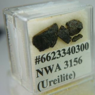 NWA 3156 Meteorite.  52 grams Fragments URELITE Found 2004 TKW 138 grams 3