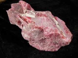 A 100 Natural Deep Red Rhodonite Cluster From Brazil 221gr