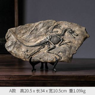 Rare Chinese Best Triassic Archaeornis Real Confucius Bird Fossilaa