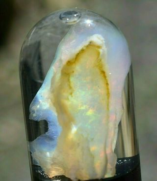 Virgin Valley Fire Opal Nevada Wet Opal Replaced Wood Display Dome 25 Carats