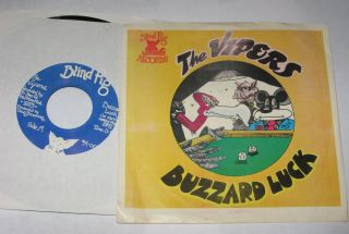 The Vipers 7 " 45 Hear Blues Buzzard Luck Blind Pig Huron River Drive W/ps