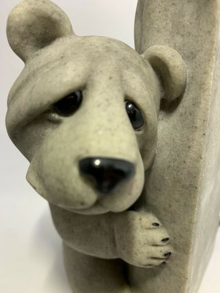 Quarry Critters Bear Peek - A - Boo Second Nature Design 7 Inches
