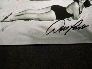 ABBE LANE Authentic Hand Signed Autograph 4X6 Photo - SEXY ACTRESS & SINGER 3