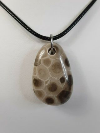Ancient Michigan Petoskey Stone Polished Pendant Necklace Black Braided Cord