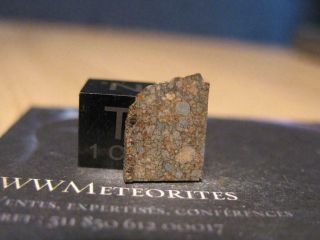 Meteorite Nwa 11538 - Chondrite Ll3 - Closely Packed Chondrules
