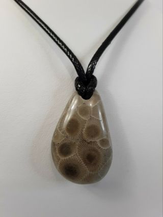 Michigan Raindrop Petoskey Stone Polished Pendant Necklace Black Braided Cord