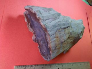 Petrified Wood Rough With Knot Hole - Over 5 - 1/2 Lbs.