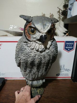Vtg Carry Lite Great Horned Owl Plastic Blow Mold Decoy Prop