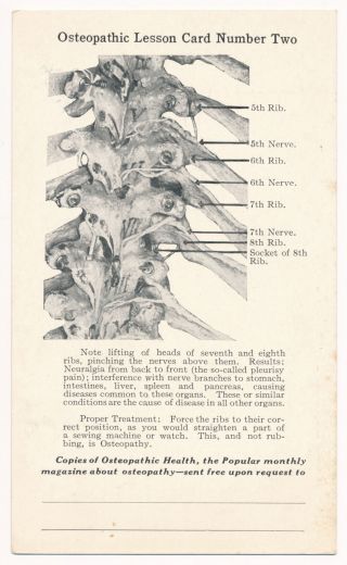 Osteopathic Lesson Card No.  2 - Vintage Postcard C1900