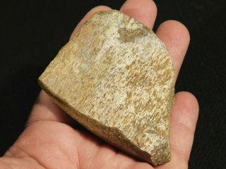 A Polished Dinosaur Gem Bone Fossil From Utah 114gr