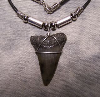 Shark Tooth Necklace 1 9/16 " Mako Sharks Teeth Fossil Megalodon Fishing Jaw
