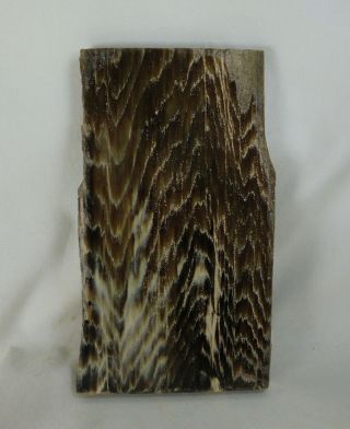 Petrified Wood - Polished Petrified Sequoia - Board Cut
