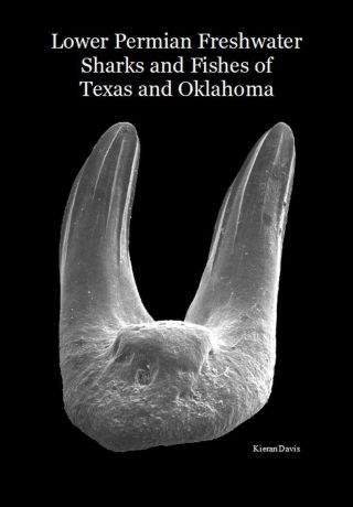 Permian Sharks & Fish Of Texas & Oklahoma.  Red Beds,  Teeth,  Petalodonts Book