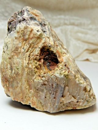 Petrified Wood with Agate & Growth Rings Specimen 8 Oz.  Found in Oregon 2